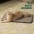 Alfombrilla para jaula de perro BALANCE 60x45cm resistente al agua - comprar online