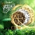 Conjunto de Monedas Piratas - Leib Games - 36 Piezas Metálicas - comprar online