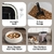 Contenedor de Comida para Perros IRIS USA 13,61 kg + Cuenco Lento en internet