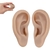Modelo de Oreja de Silicona Luqeeg 17x8.6 cm para Perforación en internet