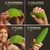 Juguete Morf Fidget Worm Figgy Toys Verde Pequeño en internet