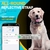 Collar para Gato con Localizador GPS Sotfkd - Impermeable en internet
