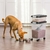 Contenedor de Almacenamiento de Comida para Perros IRIS 30 y 11 lbs en internet