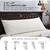 Almohada Corporal Espuma con Memoria Basic Beyond 137x51 cm en internet