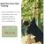 Rastreador de Fitness Stiive, Reloj Inteligente Cian 1.3" en internet