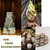Hojas de Oro KINNO para Manualidades 50 Pcs 5x5 cm - Del Mundo