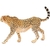 Figura Guepardo Femenino Schleich 9.91x9.91 cm 3 a 8 años - Del Mundo