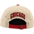 Gorro Ajustable ZHATS Chicago Bulls Licenciado 3D Stone - Del Mundo
