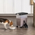 Contenedor de Comida para Perros IRIS USA 13,61 kg + Cuenco Lento - Del Mundo