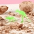 Juego de Mini Dinosaurios Brillantes 12 Piezas - Partydragon - Del Mundo