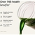 Huel Daily Greens Limón y Jengibre - 12 Porciones de Superfood - Del Mundo