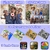 Cámara Impermeable DEKER E1 para Niños HD 1080P 32GB Azul - Del Mundo