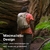 Mochila de senderismo Osprey Hikelite 26L Unisex Negra - Del Mundo