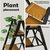Escalera Taranta Plegable 2 Peldaños Aluminio Antideslizante - Del Mundo