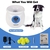 Lanzador Automático de Pelotas PetPrime para Perros Grandes - tienda online