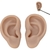 Modelo de Oreja de Silicona Luqeeg 17x8.6 cm para Perforación - tienda online