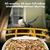 Comedero Inteligente para Aves AKQFZHQ - Cámara HD 1080P - tienda online