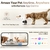 Cámara Robot para Mascotas Enabot ROLA Mini 2K con Batería - tienda online