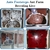 Kit Terrario Hormigas Ants Footsteps 30.68x30.68 cm - tienda online