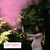 Imagen de Cañones de Confeti Revelación de Género PrimePure - Rosa
