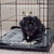 Imagen de Almohadilla Calefactora K&H para Gatos 53x43 cm Gris/Negro