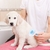 Imagen de Cepillo Autolimpiante Depets para Perros y Gatos - Azul
