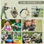 Imagen de Walkie Talkie Reloj para Niños Lincolin Camo 7 en 1