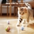 Juguete Interactivo Cheerble Caracol Malvado para Gatos