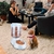 Comedero Automático Zento Deals 3.5L para Mascotas