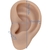 Modelo de Oreja de Silicona Luqeeg 17x8.6 cm para Perforación