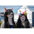 Gafas de Cosplay TamBee Bronce Steampunk Ajustables