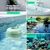 Termómetro Digital Inalámbrico Firelex para Piscinas 11.68x8.89cm