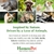 Crema Sanadora HomeoPet HP para Heridas en Mascotas 14g