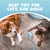 Juguete Interactivo para Gatos Pawlo Speedy Tail 2.0 Azul