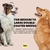 Cepillo Deshedding MalsiPree 2 en 1 para Perros Medianos y Grandes - comprar online