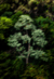 Banner rotativo 7