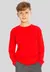 REMERA BASICA MANGA LARGA ALGODON UNISEX TALLES 2 AL 16 - FRIXION