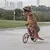 DINOSAUR - comprar online