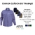 Camisa Clásico