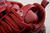 LOUIS VUITTON Trainer couro - Vinho - loja online