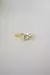 Anillo Protect