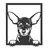 Quadro Decorativo Dog Pinscher MDF 3mm Preto - comprar online