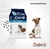 Cacique Cachorros