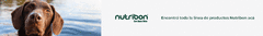 Banner de la categoría Nutribon