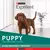 Purina Excellent Dog Cachorro pollo y arroz 20kg - comprar online