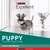 Purina Excellent Dog Cachorro - RAZAS PEQUEÑAS - comprar online