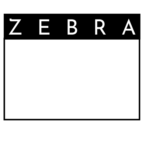 Zebra Zumbi