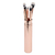 Kit Brocha Ojos Metalica Oro Rosa