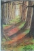 Paisaje de bosque