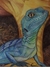 Iguana
